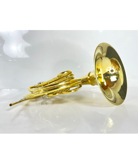 Demo S.E. Shires Q20 F/Bb Double French Horn (SN: G2500017)
