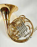 Demo Eastman EFH683GD Double French Horn (SN: 15887236)