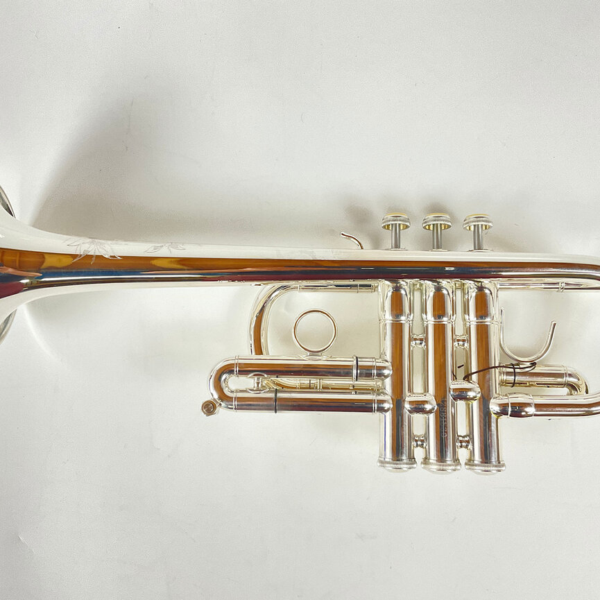 Demo Eastman ETR540S Eb/D Trumpet (SN: 12881530)