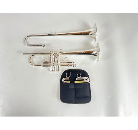 Demo S.E. Shires TRQ15S Eb/D Trumpet (SN: Q5941)
