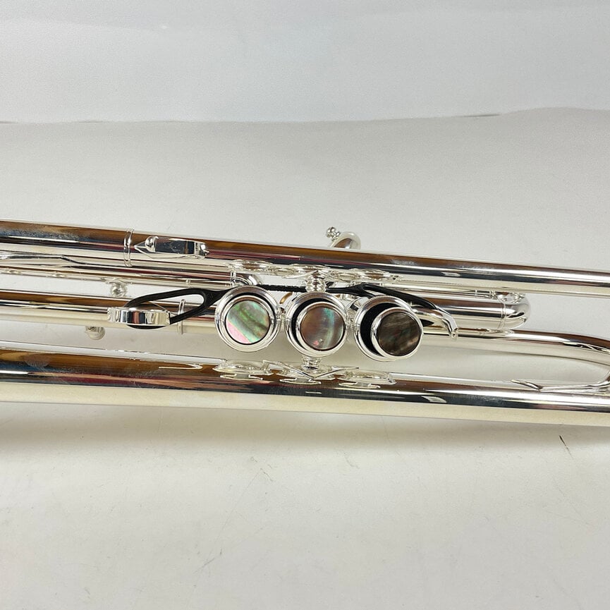 Demo Yamaha YTR-8335RSKG Bb Trumpet (SN: 580772)