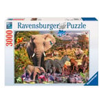 Ravensburger Puzzle 3000: Animaux du continent africain