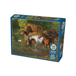 Cobble Hill Puzzle 500: Horse Pond