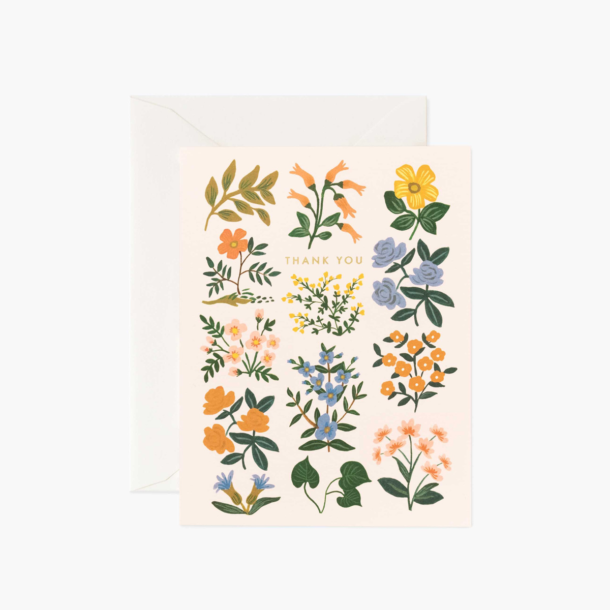 Rifle Paper Co - RP Rifle Paper - Wildwood Thank You Notes, Set of 8