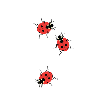Tattly - TA Tattly Ladybugs Tattoo, Set of 2