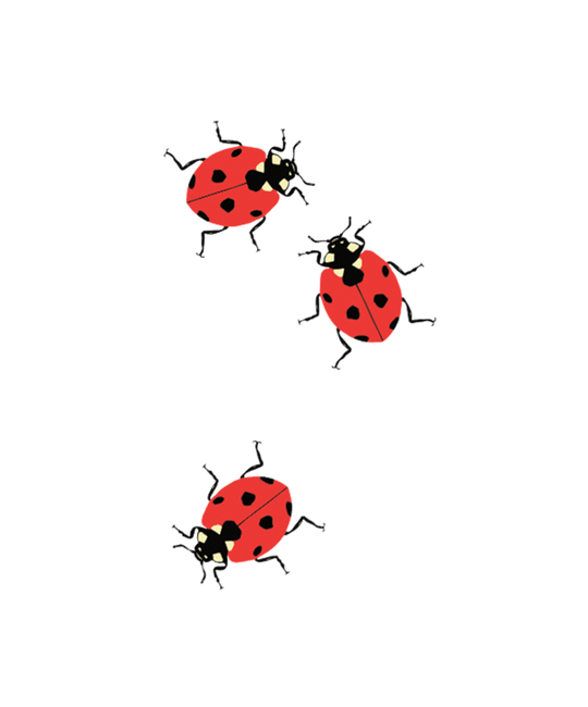 Tattly - TA Tattly Ladybugs Tattoo, Set of 2