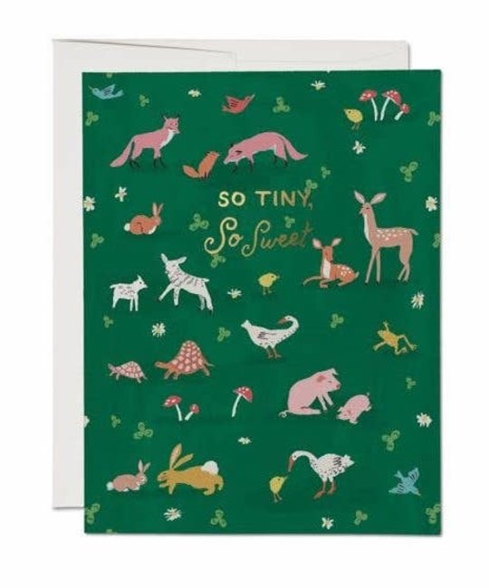Red Cap Cards - RCC Tiny Animals Greeting Card