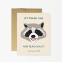 Party Mountain - PM Raccoon Trash Can