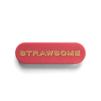 Designworks Ink - DI “Strawsome” Single Stainless Steel Portable Straw In Case