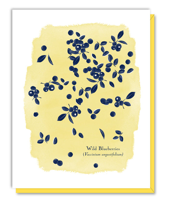 Driscoll Design - DRD Wild Blueberries Blank Card