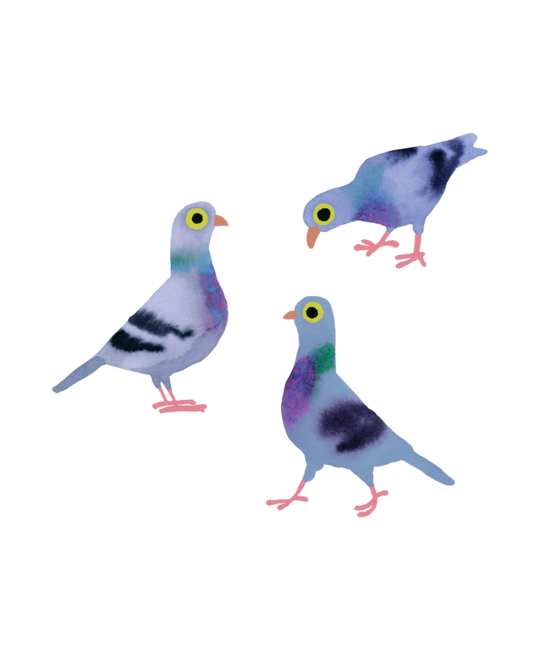Tattly - TA Tattly - Pigeon Pals Tattoo