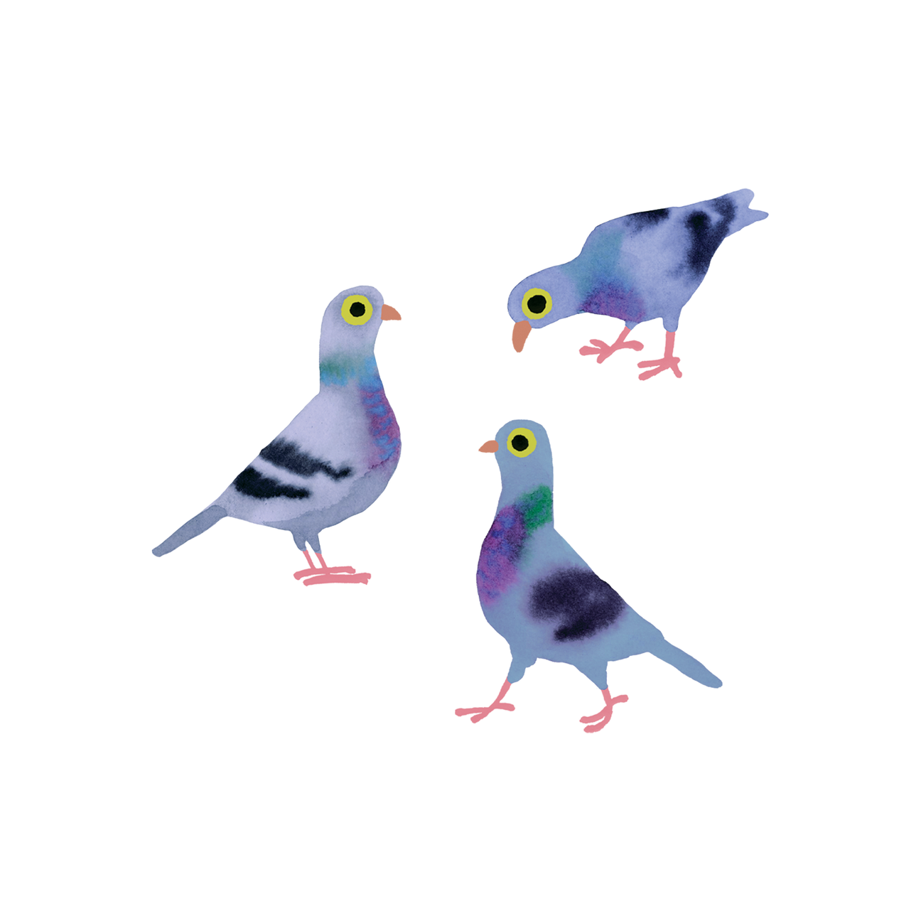 Tattly - TA Tattly - Pigeon Pals Tattoo