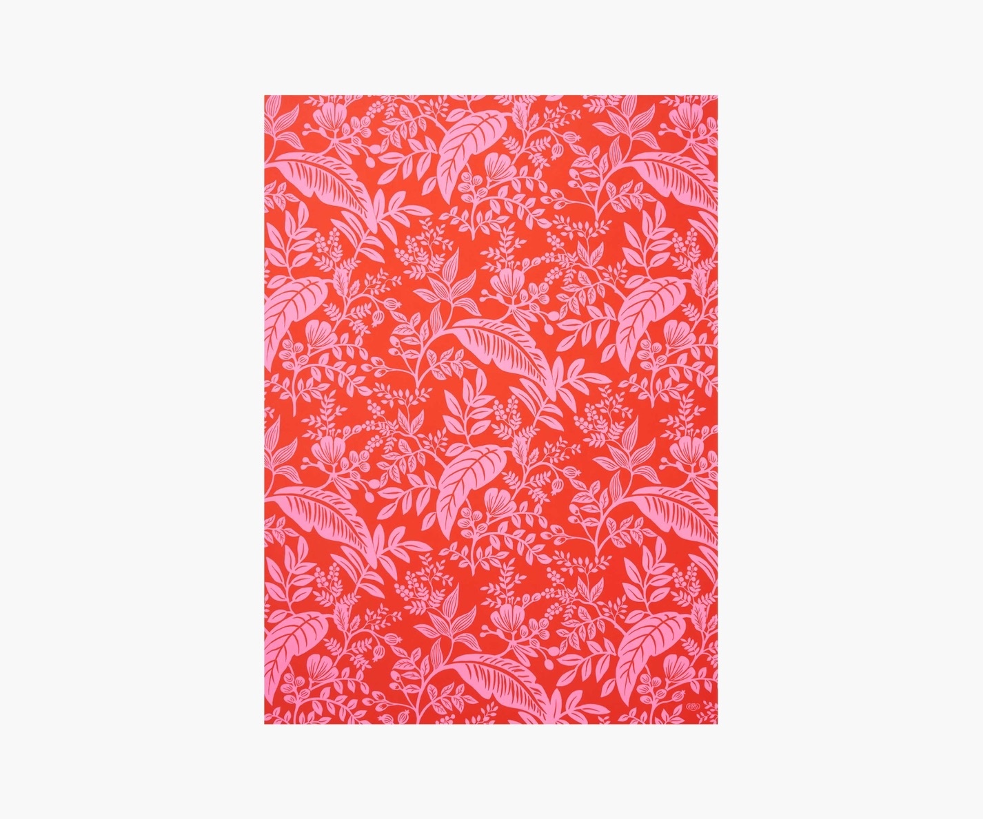 Rifle Paper Co. - Canopy Neon Wrap Roll, 3 Sheets, (19.5 x 27) - Gus and  Ruby Letterpress