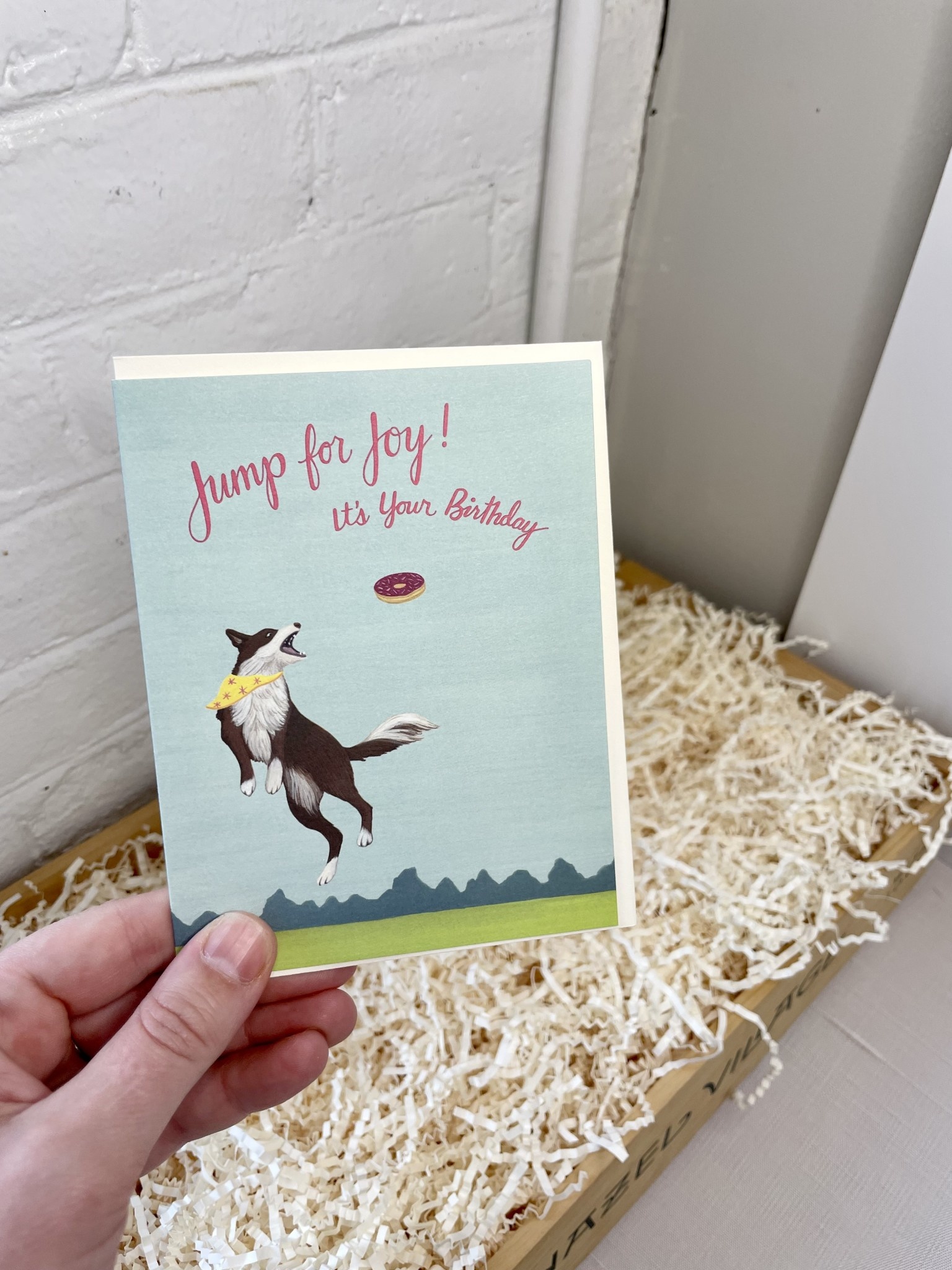 Yeppie Paper - YP Jumping Dog Birthday Card