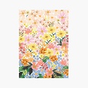 Rifle Paper Co - RP Rifle Paper Co. - Marguerite Wrap Roll (3 sheets)