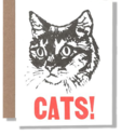 Power and Light Letterpress - PLL Cats! Greeting Card