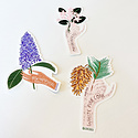 Gingiber - GIN Massachusetts State Flower Sticker (Mayflower)