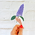 Gingiber - GIN New Hampshire State Flower Sticker (Lilac)