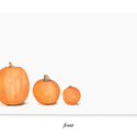 E. Frances Paper Studio - EF Pumpkin Little Notes, set of 85