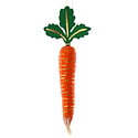 Cody Foster - COF Paper Carrot Ornament