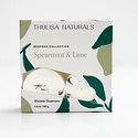 Thulisa Naturals - THN Thulisa Naturals - Spearmint + Lime Shower Steamers