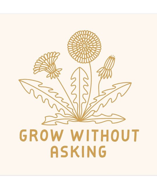 Worthwhile Paper - WOP WOP PRSM -  Grow Without Asking Print, 12"  x 12"
