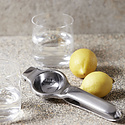 Society of Lifestyle Stainless Steel Lemon Squeezer