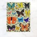 Calhoun & Co. - CAL Calhoun & Co. - Butterfly Art Print,11" x 14"