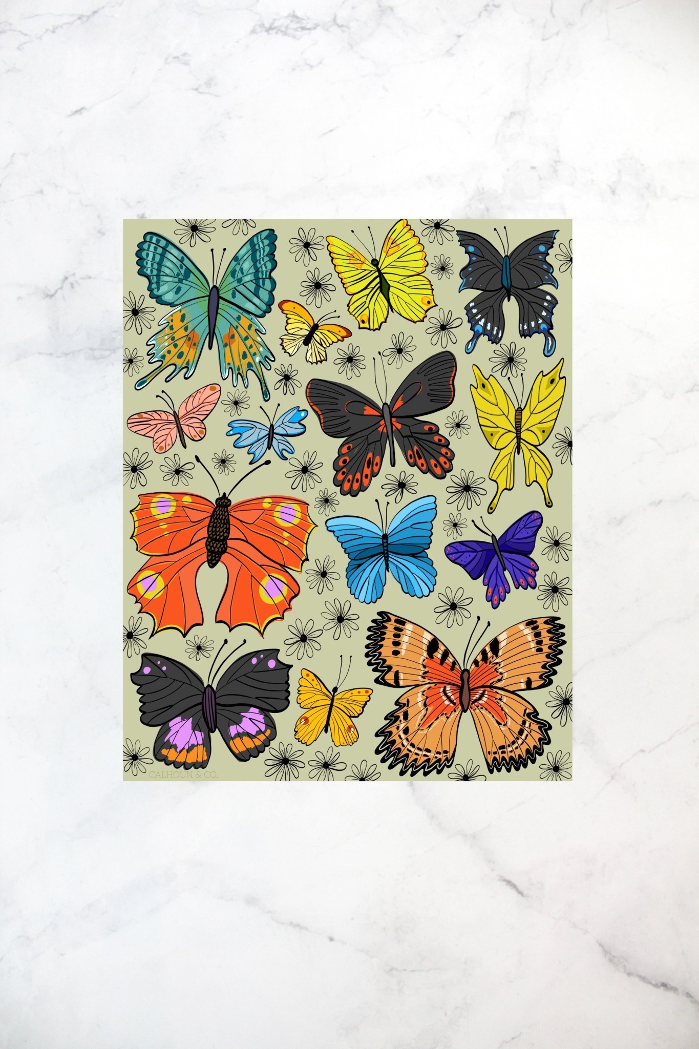 Calhoun & Co. - CAL Calhoun & Co. - Butterfly Art Print,11" x 14"