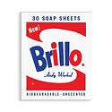 Chronicle Books - CB Andy Warhol Brillo Soap Sheets