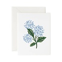 Rifle Paper Co - RP Rifle Paper Co - Assorted Botanical Blossom Boxed Note Set
