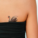 Tattly - TA Tattly - Black Swan Tattoo | Set of 2