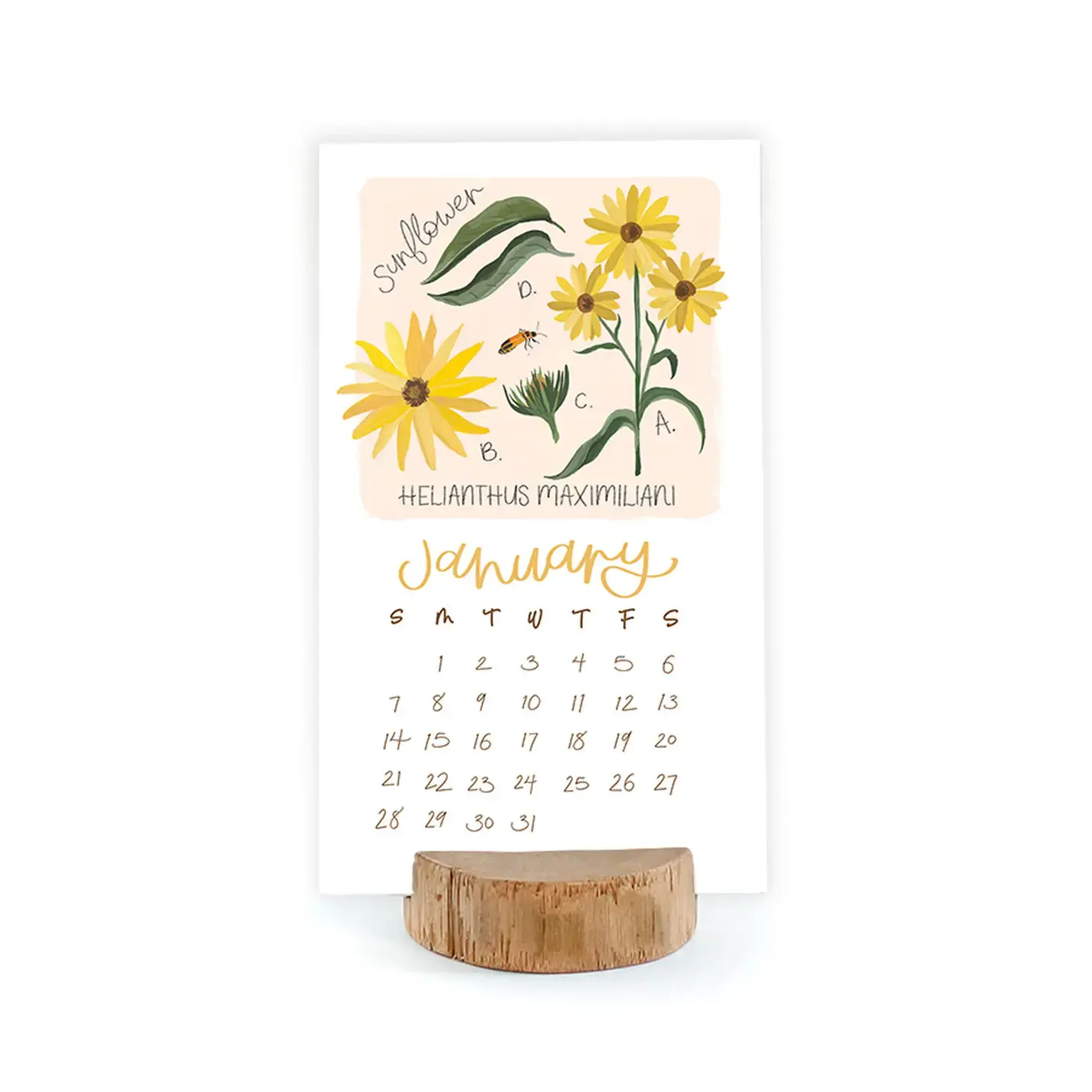 One Canoe Two Letterpress - OC 2024 Wildflower Botanicals Desk Calendar w/Wood Stump Stand