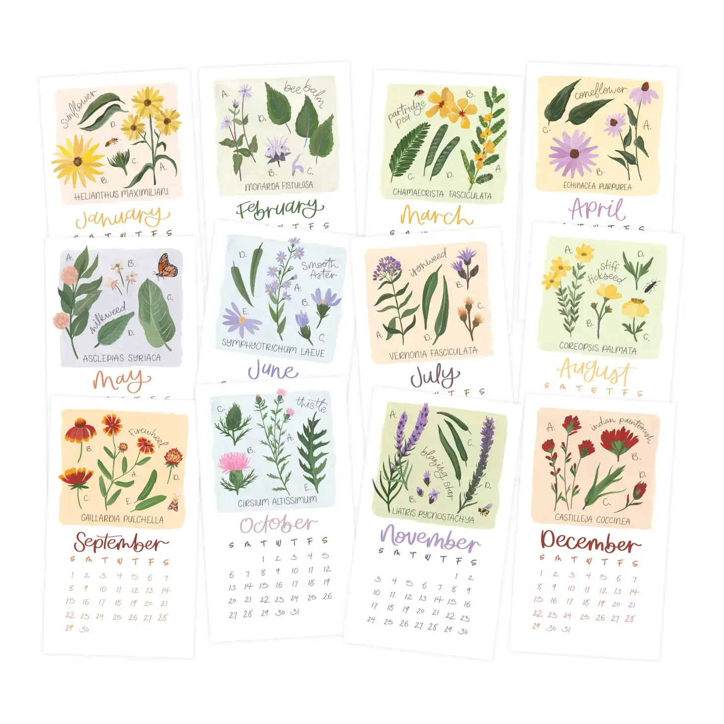 Tulips Monthly Calendar Sticker Kit (7×9 & a5 sizes) - Tori Grant Designs