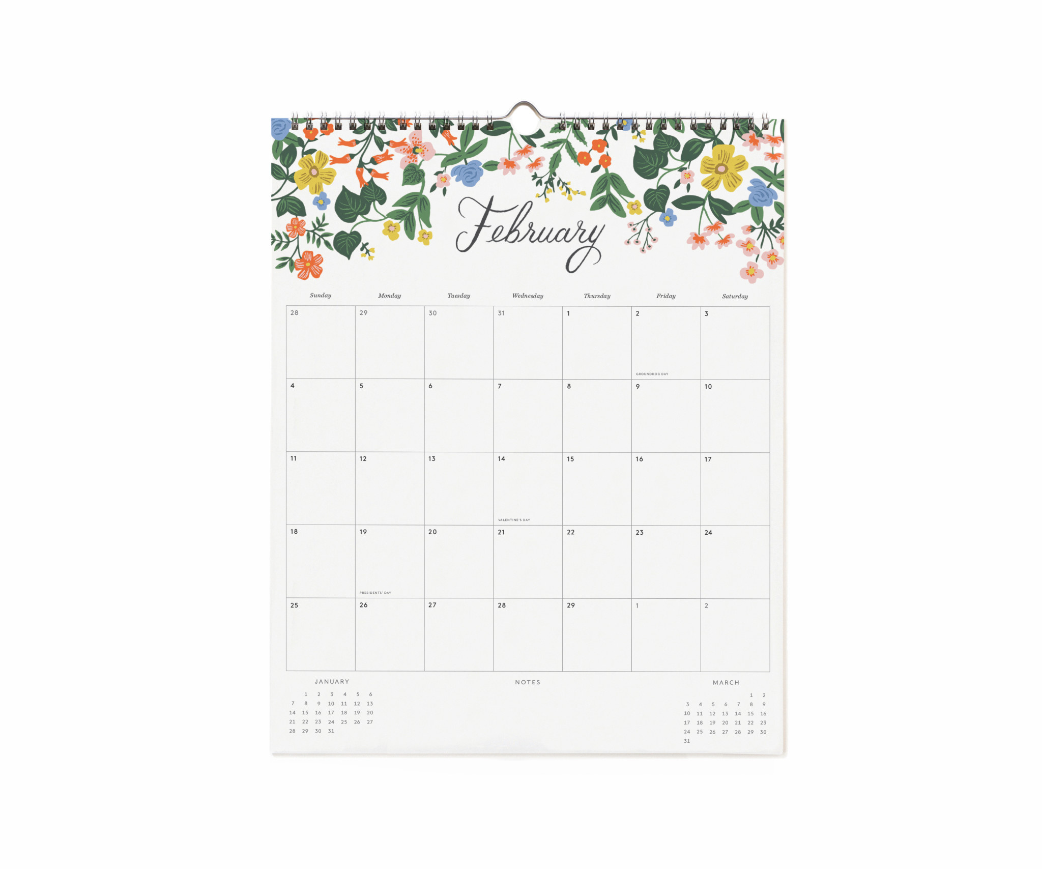 Rifle Paper Co 2024 Peacock Vertical Appointment Wall Calendar Gus