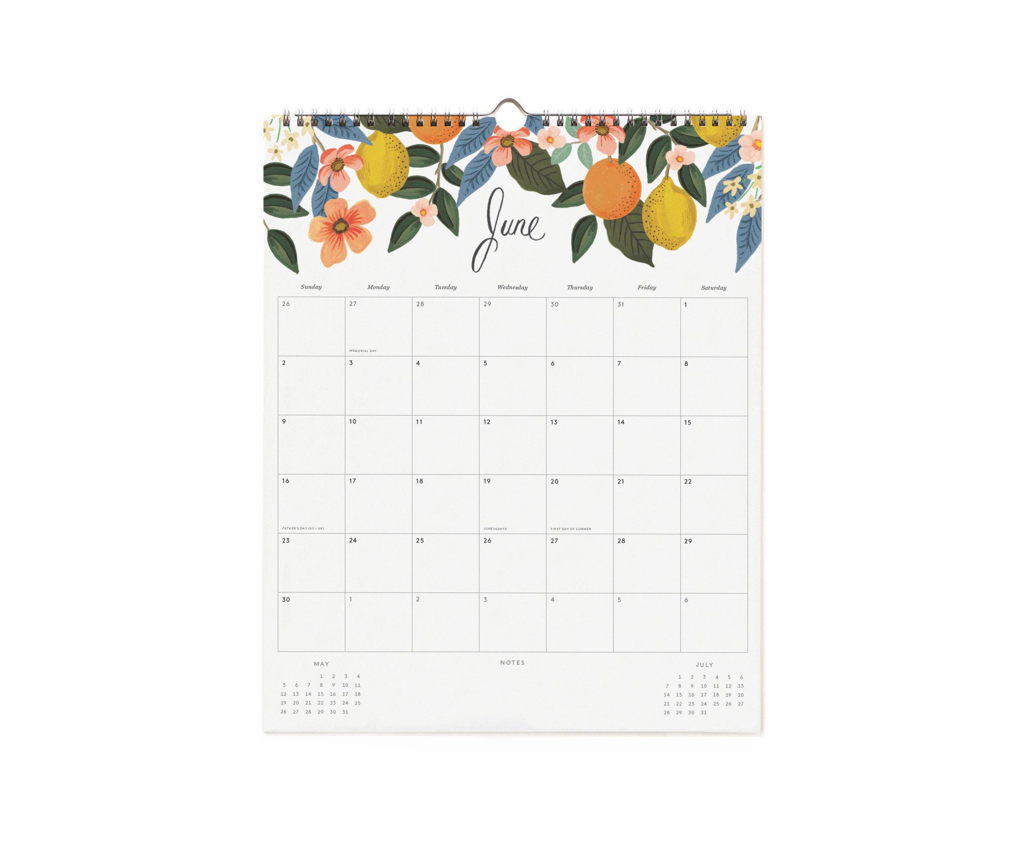 Rifle Paper Co 2024 Peacock Vertical Appointment Wall Calendar Gus