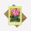 Printer Johnson - PJ Cyclamen Flower Mini Card