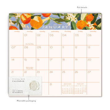 Seedlings - SED Seedlings - 2024 Sunny Oranges Seedlings Calendar Desk Notepad