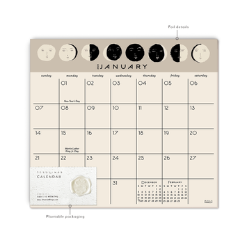 Seedlings - SED Seedlings - 2024 Moon Faces Calendar Desk Notepad