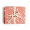 Amy Heitman Illustration - AHI AHI WPROHO - Candy Cane Wrapping Paper Roll of 3