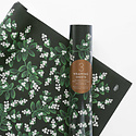 Rifle Paper Co - RP RP WPROHO - Evergreen Mistletoe Wrap, Roll of 3