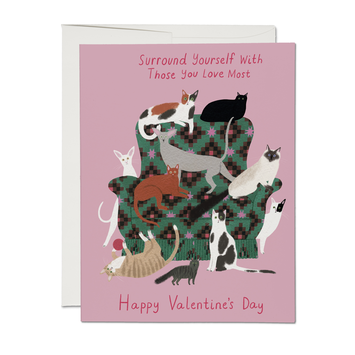 Red Cap Cards - RCC RCCGCVD - Surround Yourself Cat Valentine Card