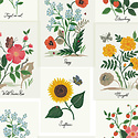 Rifle Paper Co - RP Rifle Paper Co - Botanical Wrapping Paper, Roll of 3 Sheets