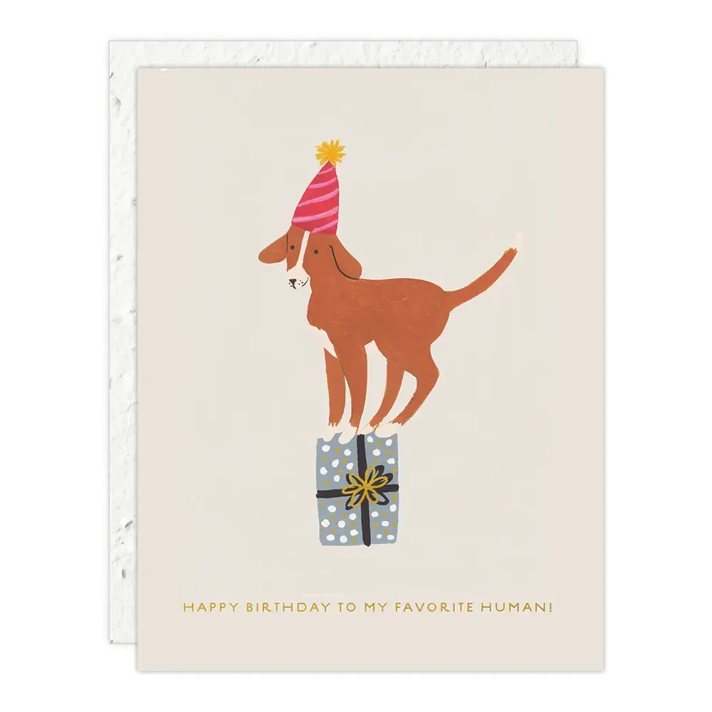 Seedlings - SED SEDGCBI - Dog Favorite Human Birthday Card