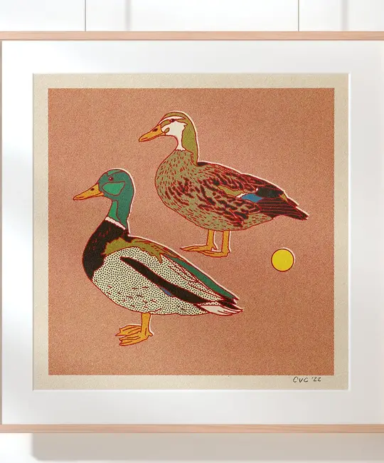 Caroline Clark Design - CCD CCD PRLA - Mallard Ducks 12" x 12" Print