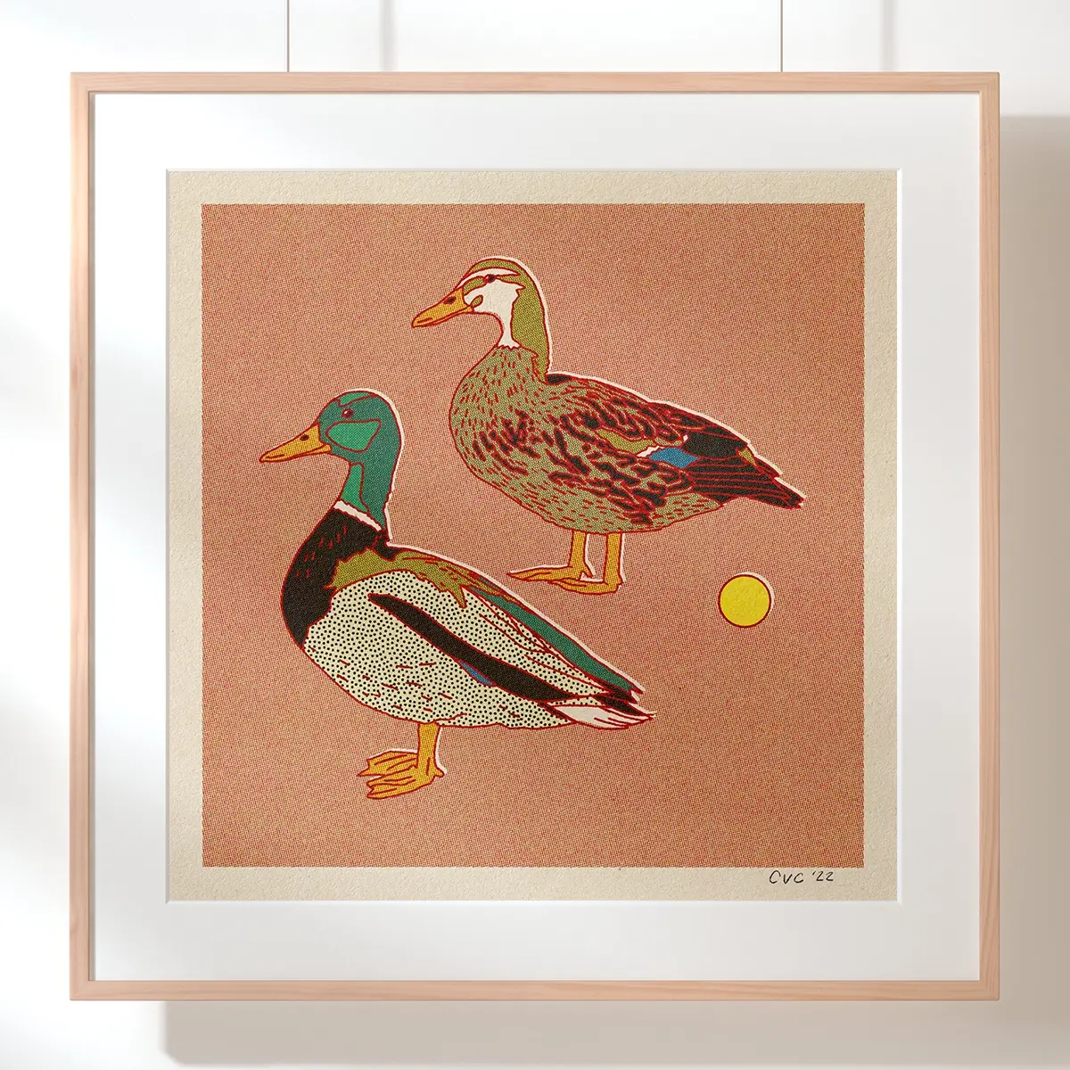 Caroline Clark Design - CCD CCD PRLA - Mallard Ducks 12" x 12" Print