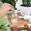 Instant Plant Food - IPF IPF GO - Grow - Heal - Protect | Plant Care