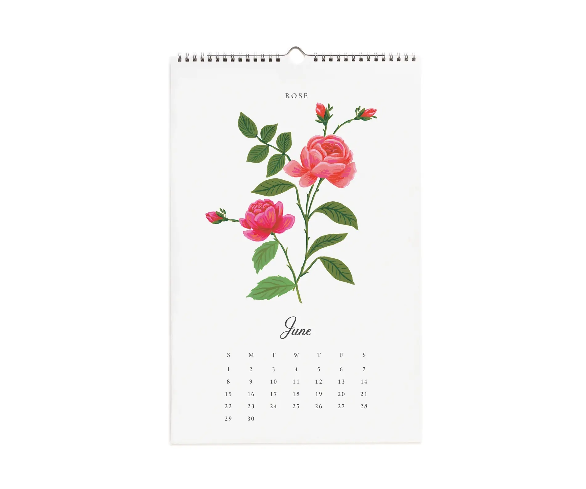 Rifle Paper Co - RP RP CAWA - 2025 Say it With Flowers Wall Calendar