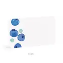 E. Frances Paper Studio - EF EF ECBS - Blueberry Little Notes, set of 85