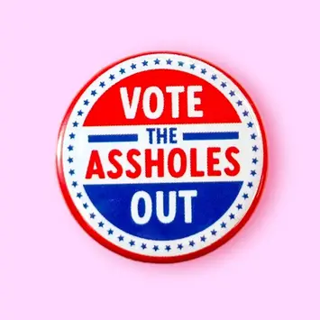 The Hissin Kitten - THK THK AC - Vote the Assholes Out Button Pin